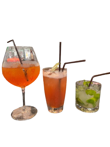 S__7962728-removebg-preview